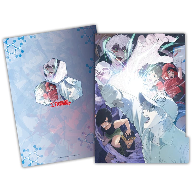 Anime 5-Layer Folder - Cells at Work!