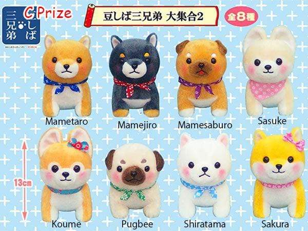 Kuji - AMUSE Wonderland (OOS) - Image 7