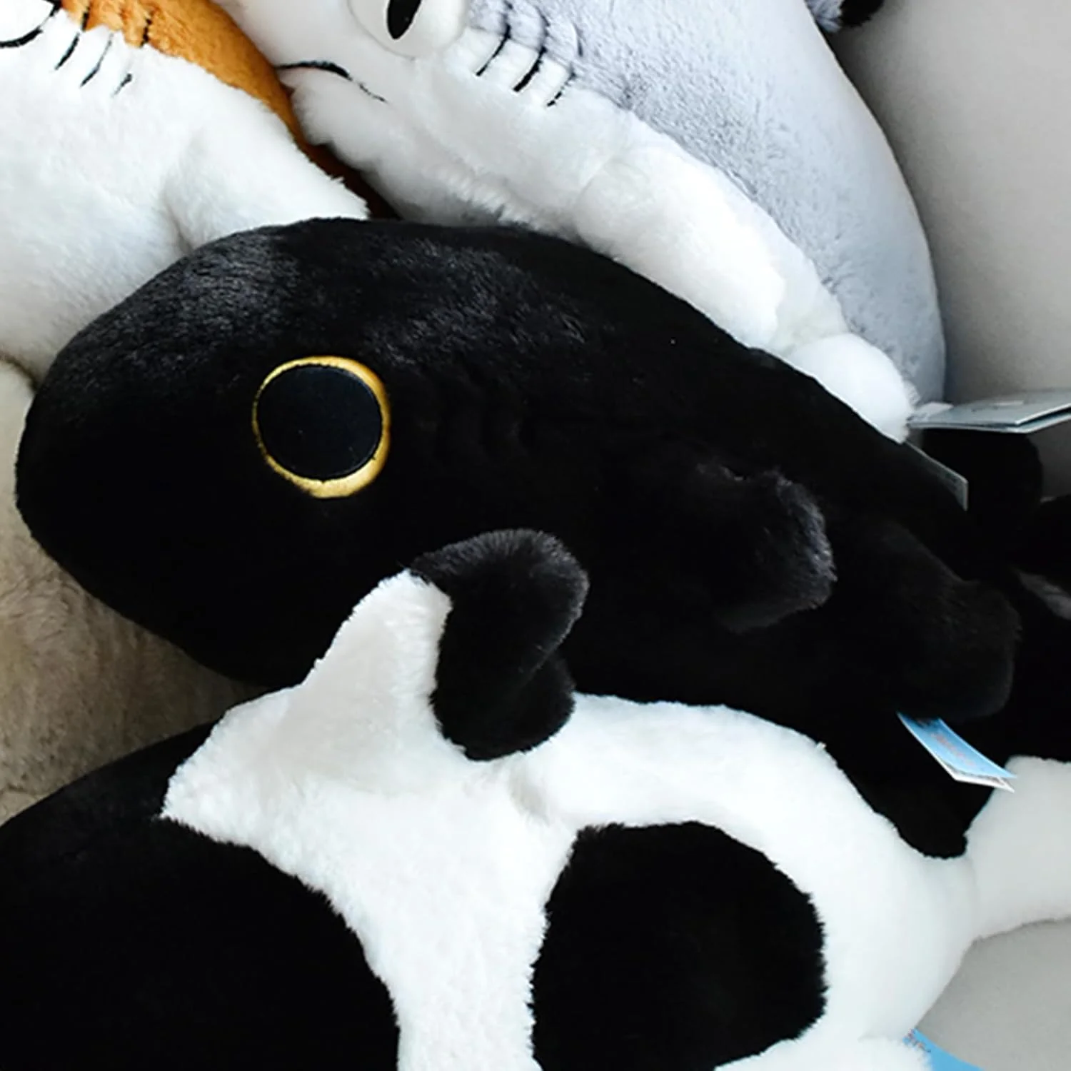 Sharkitty Shark Cat Plush Doll - Hey Hey 50cm - Image 4